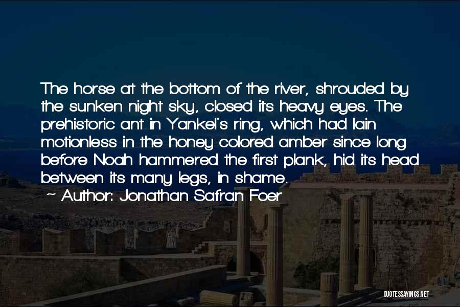 Amber Eyes Quotes By Jonathan Safran Foer