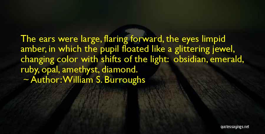 Amber Eyes Quotes By William S. Burroughs