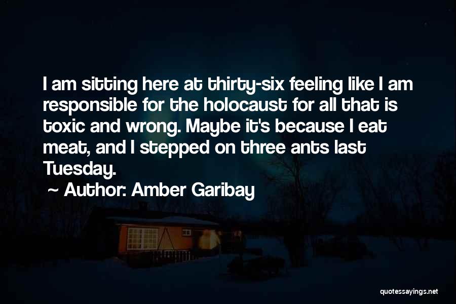 Amber Garibay Quotes 1102299