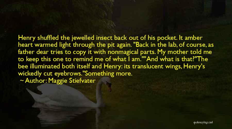 Amber Light Quotes By Maggie Stiefvater