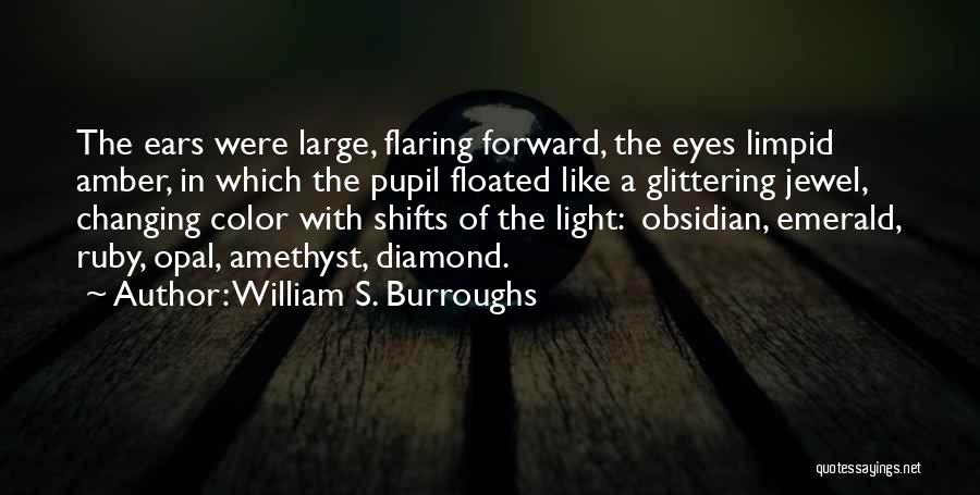 Amber Light Quotes By William S. Burroughs