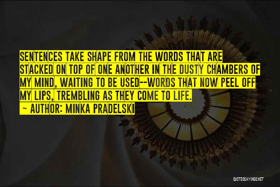 Amber Pacific Quotes By Minka Pradelski