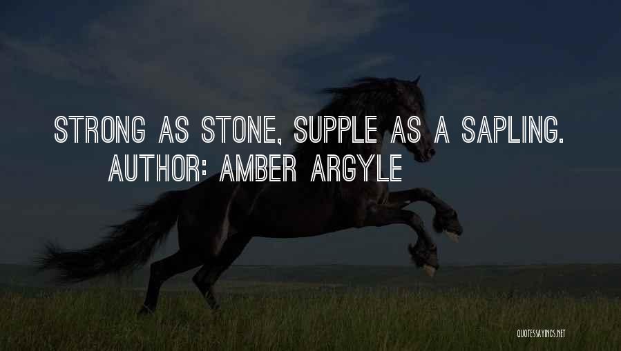 Amber Stone Quotes By Amber Argyle