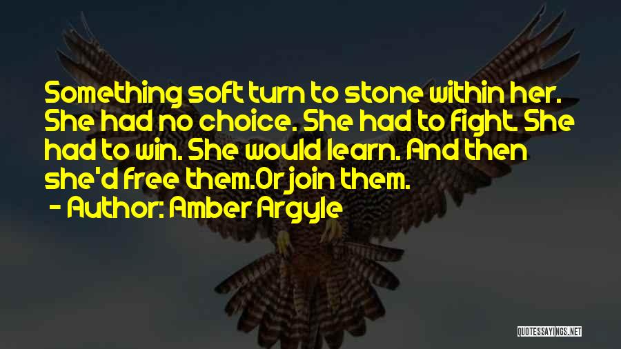 Amber Stone Quotes By Amber Argyle