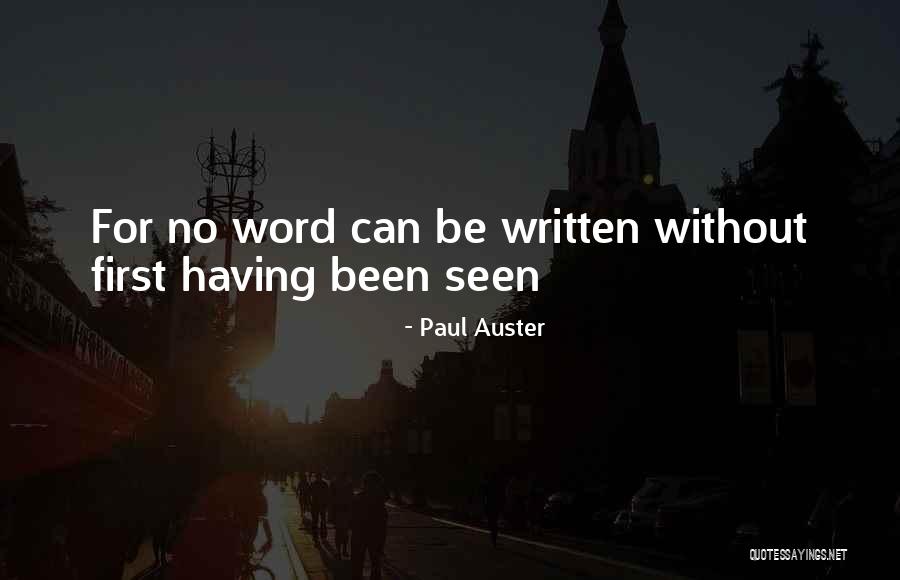 Ambicije Znacenje Quotes By Paul Auster