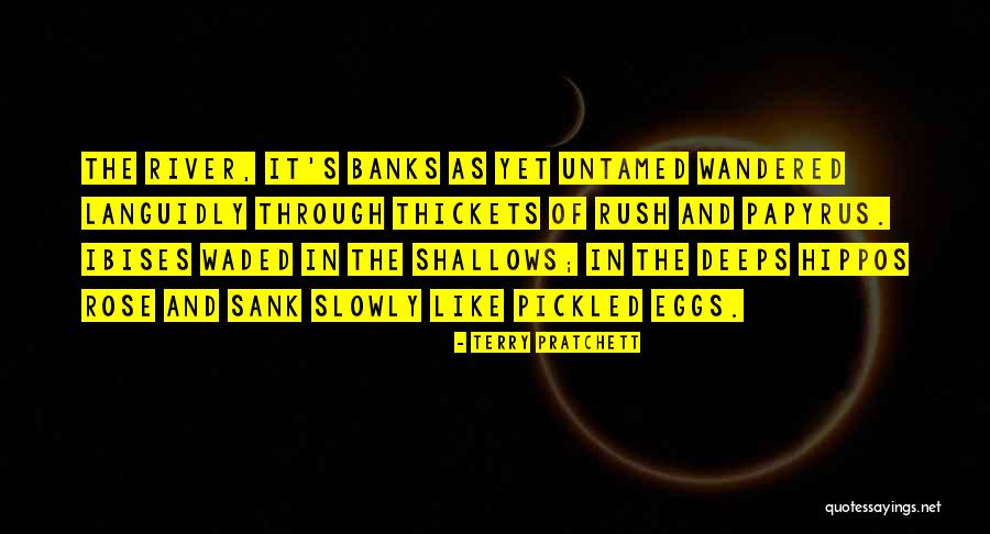 Ambientes Naturales Quotes By Terry Pratchett Ambientes Naturales Quotes By Terry Pratchett