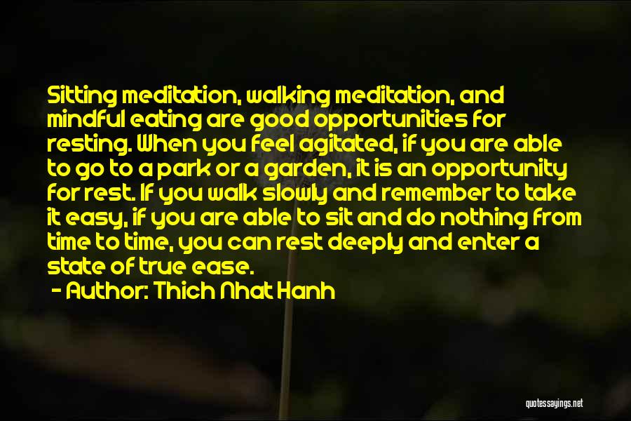Ambiguidade Lexical Quotes By Thich Nhat Hanh