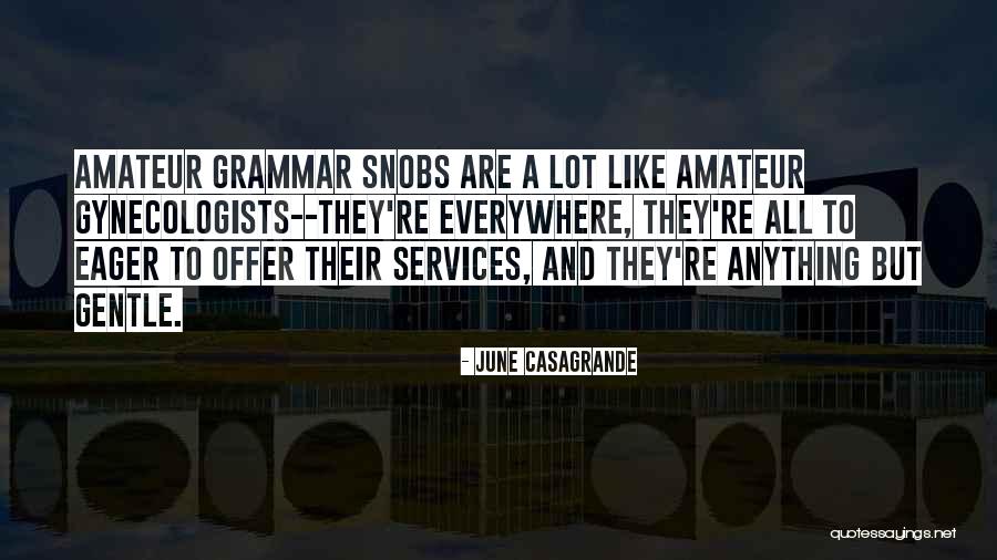 Ambilight Quotes By June Casagrande Ambilight Quotes By June Casagrande