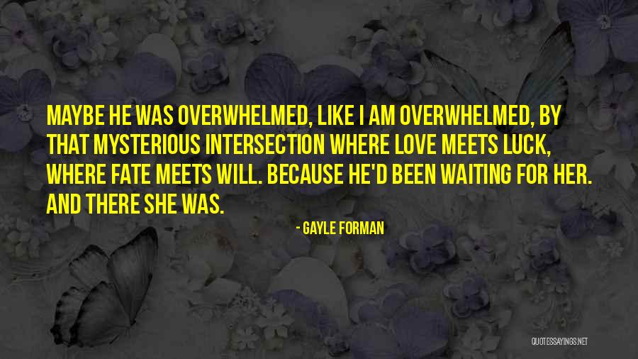 Ambiorix Padilla Quotes By Gayle Forman Ambiorix Padilla Quotes By Gayle Forman