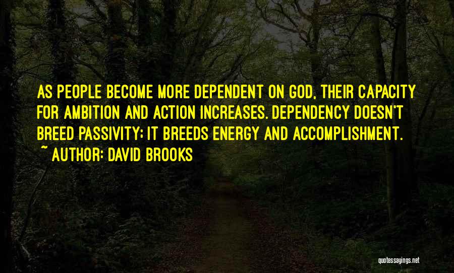 Ambition And God Quotes By David Brooks