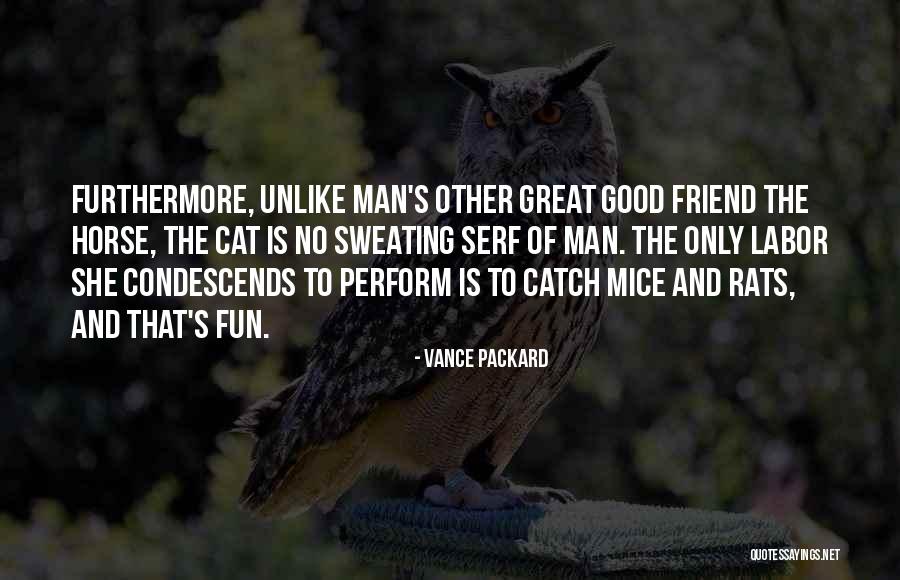 Ambition From Macbeth Quotes By Vance Packard Ambition From Macbeth Quotes By Vance Packard