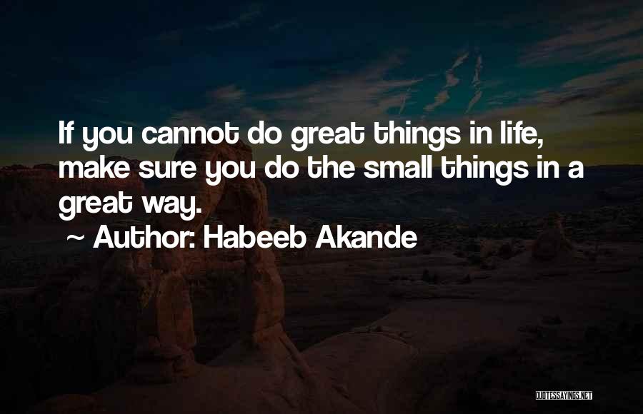 Ambition In Life Quotes By Habeeb Akande