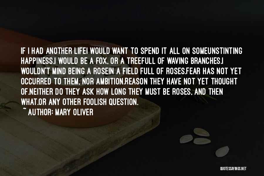 Ambition In Life Quotes By Mary Oliver