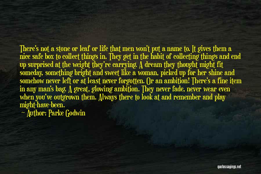 Ambition In Life Quotes By Parke Godwin