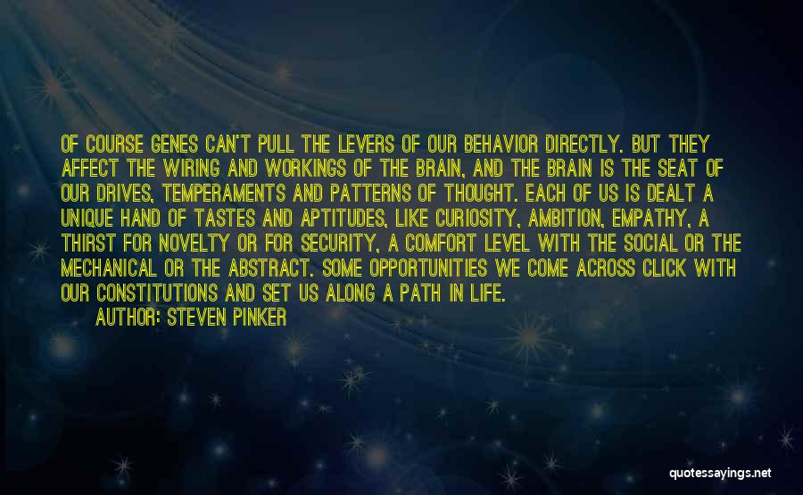 Ambition In Life Quotes By Steven Pinker