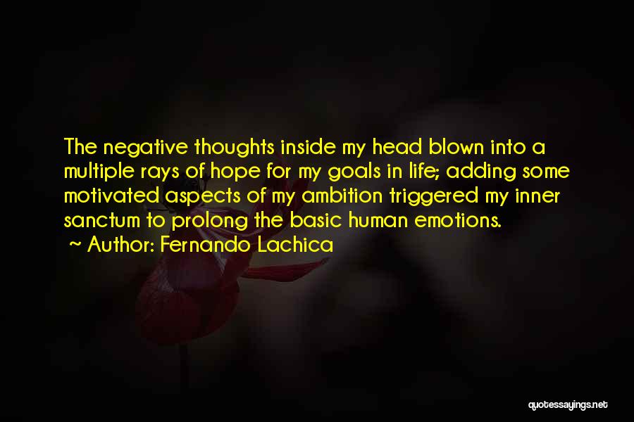 Ambition Negative Quotes By Fernando Lachica