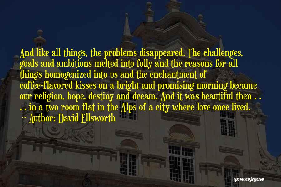Ambitions And Goals Quotes By David Ellsworth