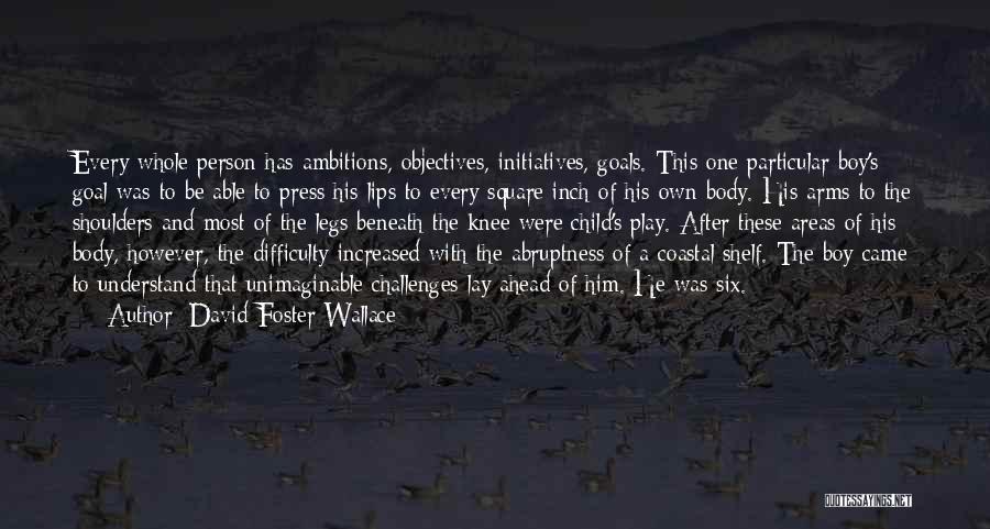 Ambitions And Goals Quotes By David Foster Wallace