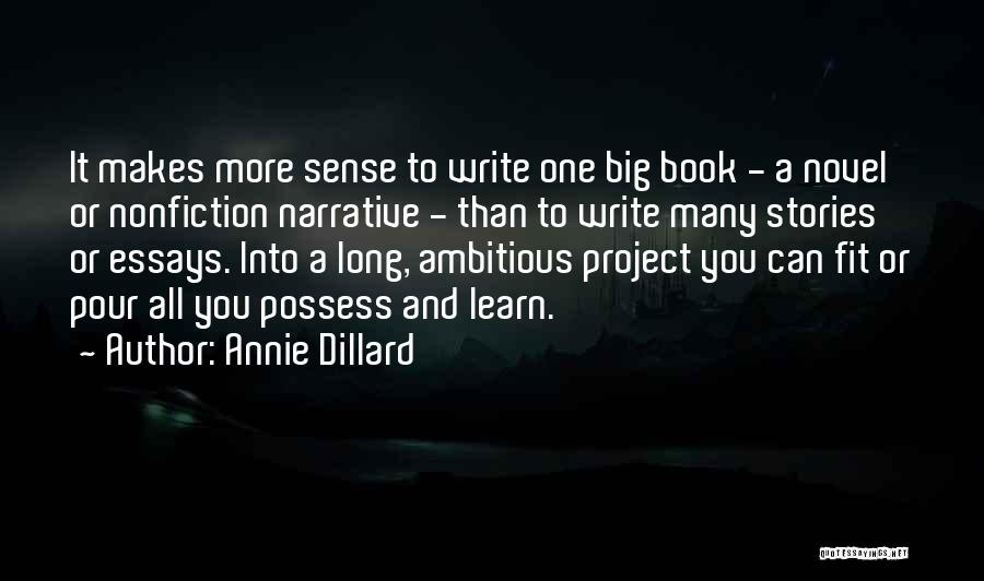 Ambitious Quotes By Annie Dillard