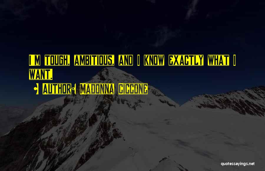 Ambitious Quotes By Madonna Ciccone