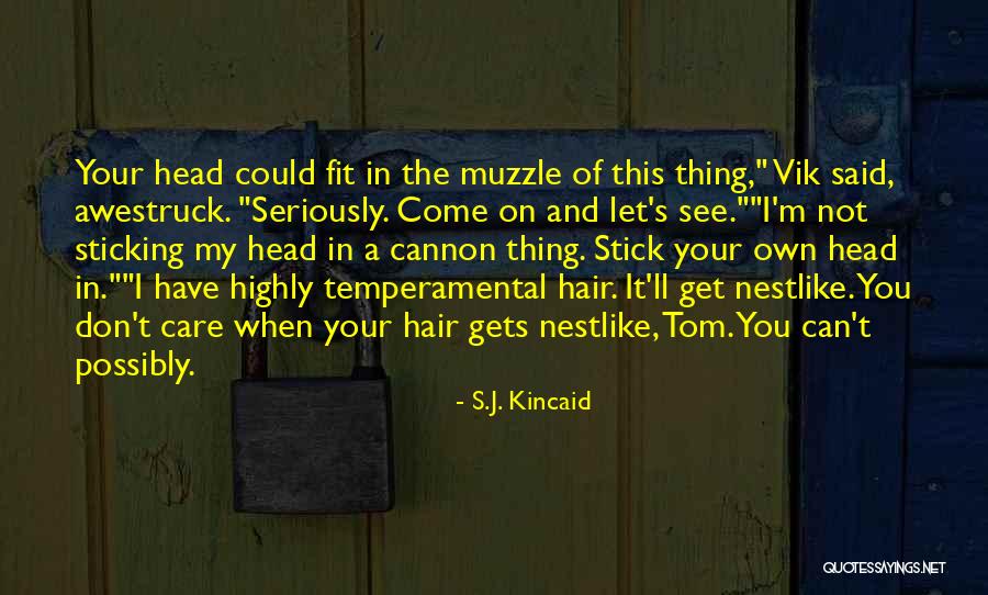 Ambizione One Piece Quotes By S.J. Kincaid Ambizione One Piece Quotes By S.J. Kincaid