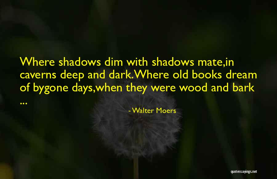 Ambriza Quotes By Walter Moers Ambriza Quotes By Walter Moers