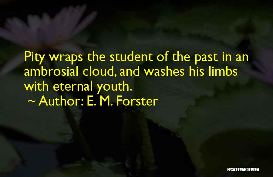 Ambrosial Quotes By E. M. Forster