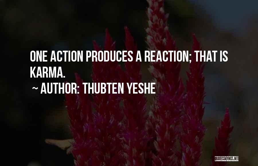 Ambrosino Construction Quotes By Thubten Yeshe