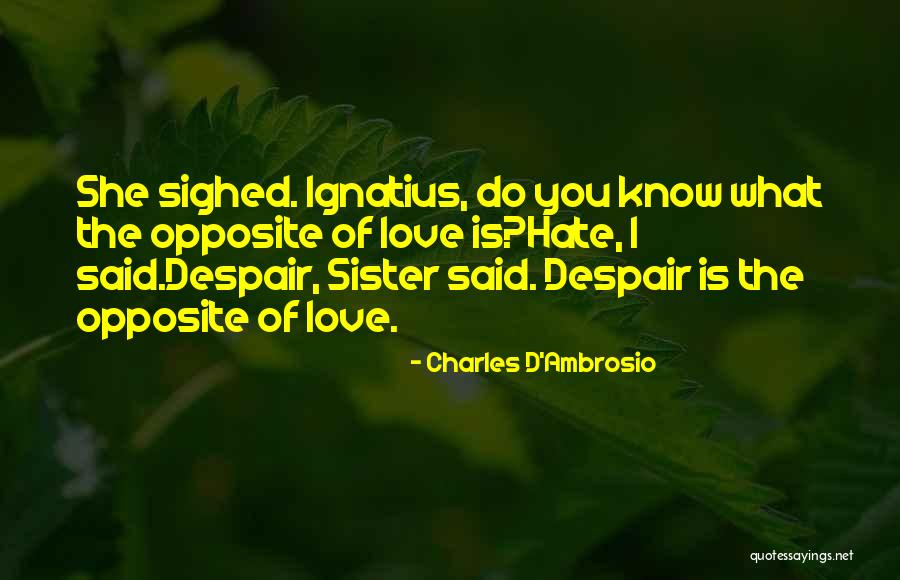 Ambrosio Quotes By Charles D'Ambrosio