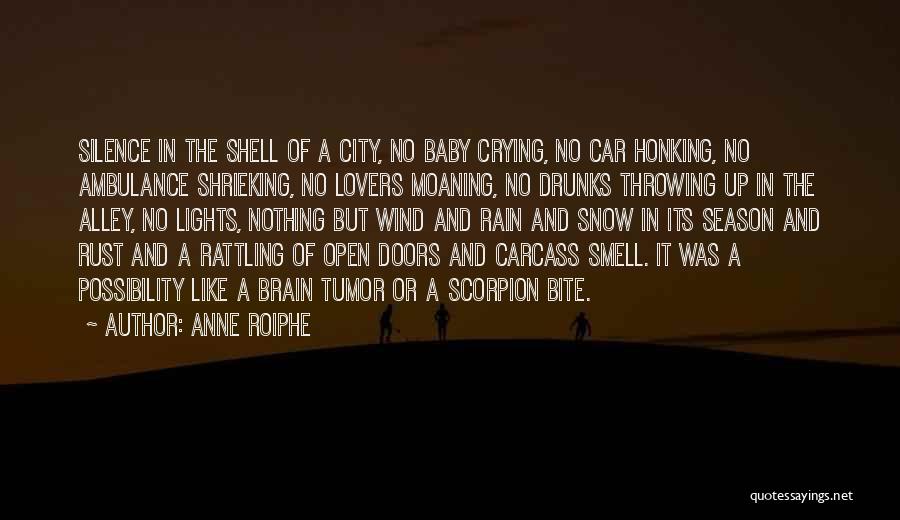 Ambulance Quotes By Anne Roiphe