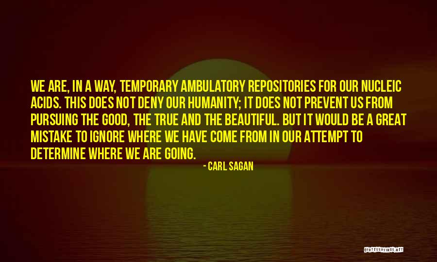 Ambulatory Quotes By Carl Sagan