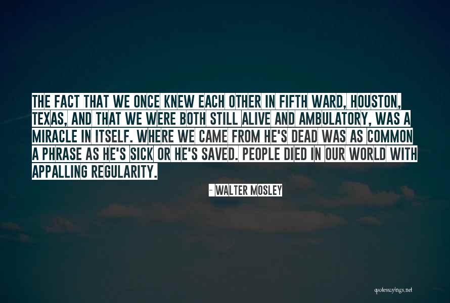 Ambulatory Quotes By Walter Mosley Ambulatory Quotes By Walter Mosley