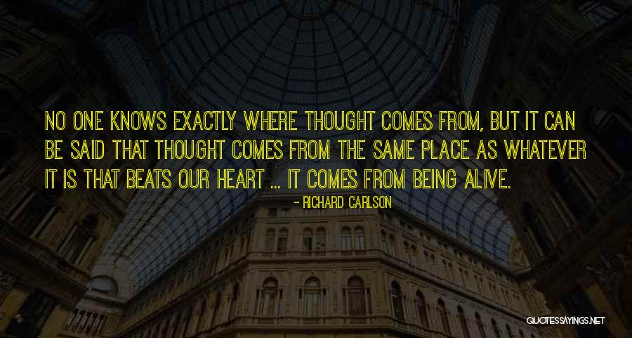 Amechi Fencing Quotes By Richard Carlson Amechi Fencing Quotes By Richard Carlson