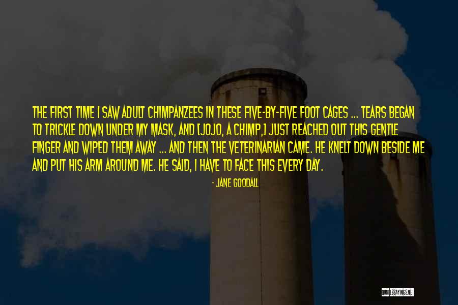 Ameed Abdulrazzak Quotes By Jane Goodall Ameed Abdulrazzak Quotes By Jane Goodall