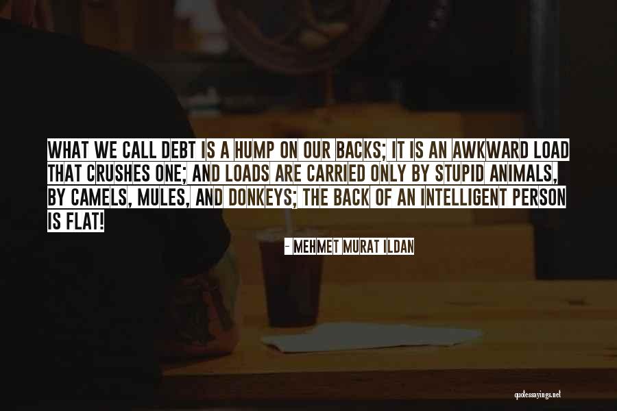 Ameel Candy Quotes By Mehmet Murat Ildan Ameel Candy Quotes By Mehmet Murat Ildan