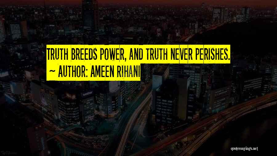 Ameen Rihani Quotes 1879738