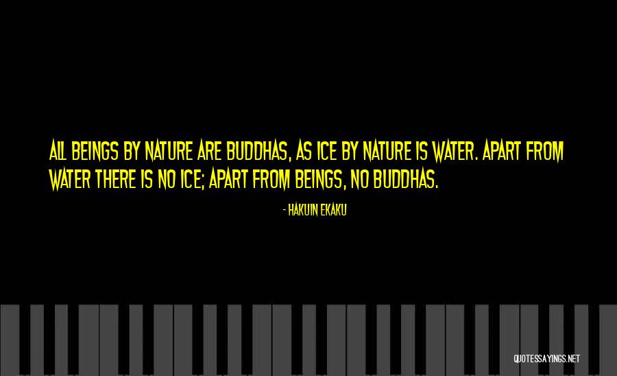 Amegy Quotes By Hakuin Ekaku Amegy Quotes By Hakuin Ekaku
