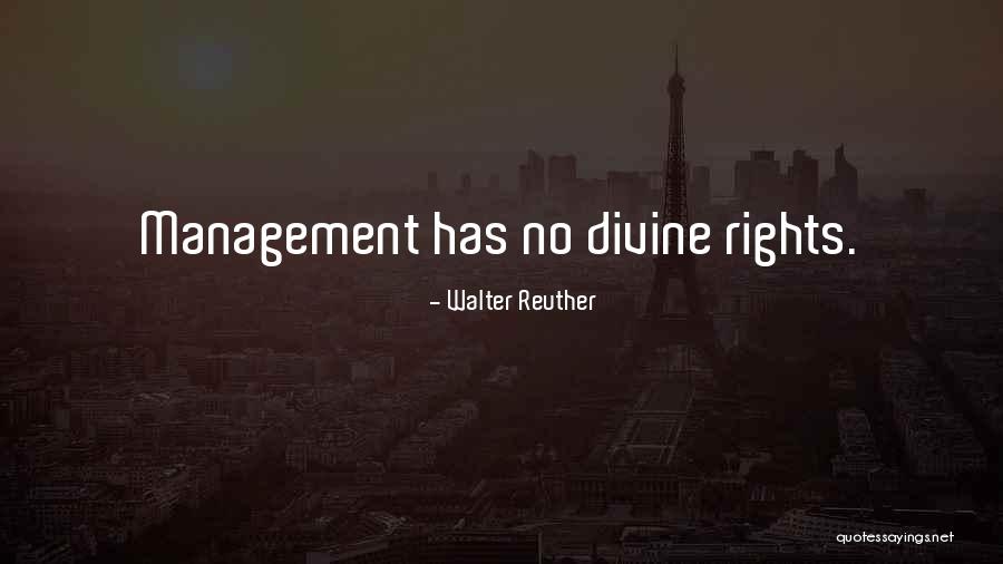 Amelchenko Quotes By Walter Reuther
