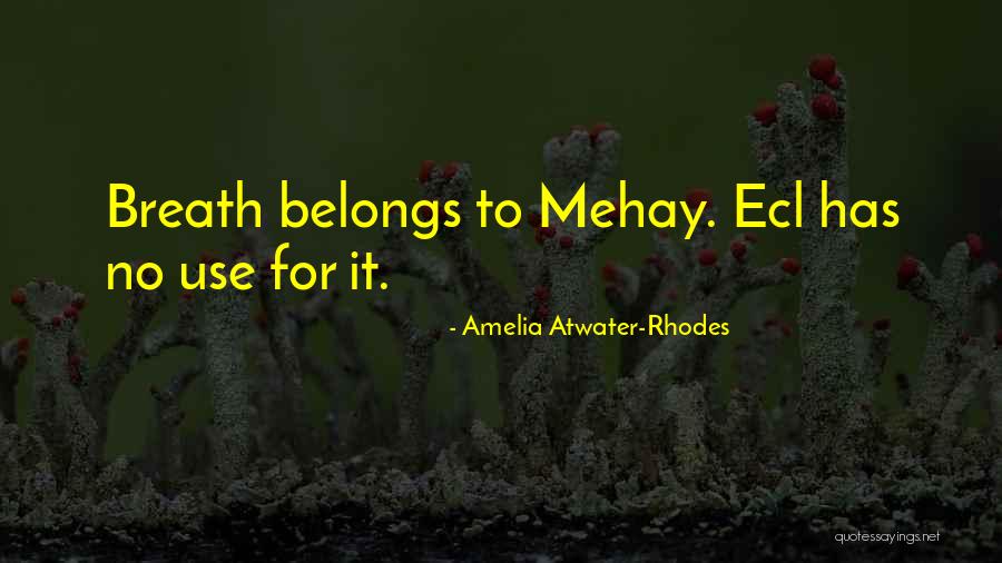 Amelia Atwater-Rhodes Quotes 1349521 Amelia Atwater-Rhodes Quotes 1349521