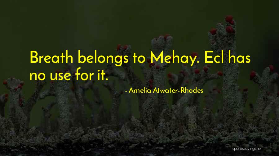 Amelia Atwater-Rhodes Quotes 1349521