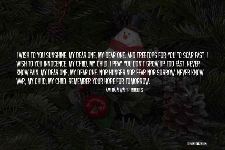Amelia Atwater-Rhodes Quotes 863744 Amelia Atwater-Rhodes Quotes 863744