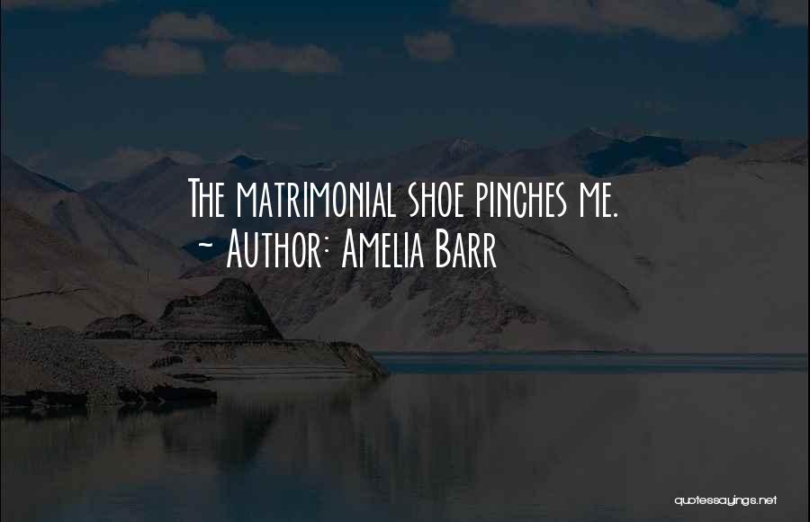 Amelia Barr Quotes 1351264