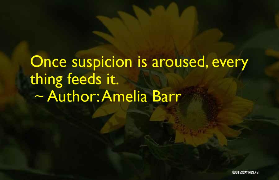 Amelia Barr Quotes 1776377