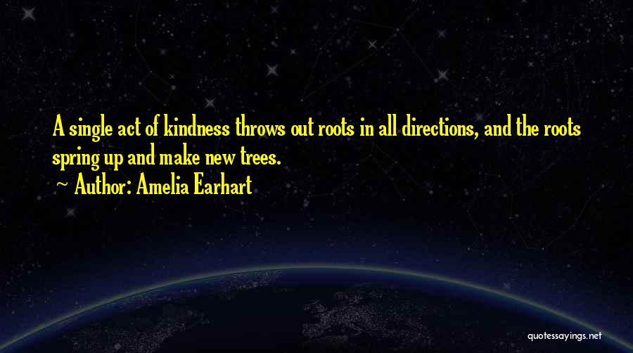 Amelia Earhart Quotes 1689579