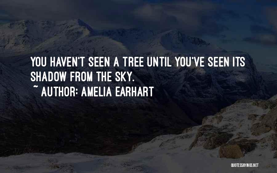 Amelia Earhart Quotes 335906