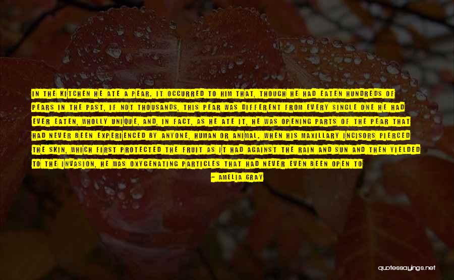 Amelia Gray Quotes 1444105 Amelia Gray Quotes 1444105