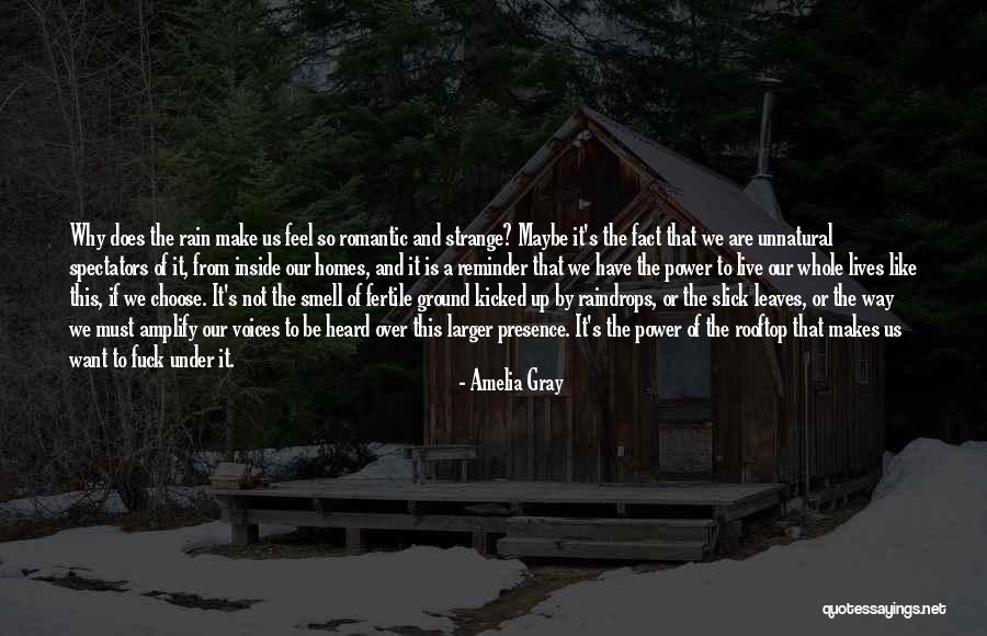 Amelia Gray Quotes 2060218