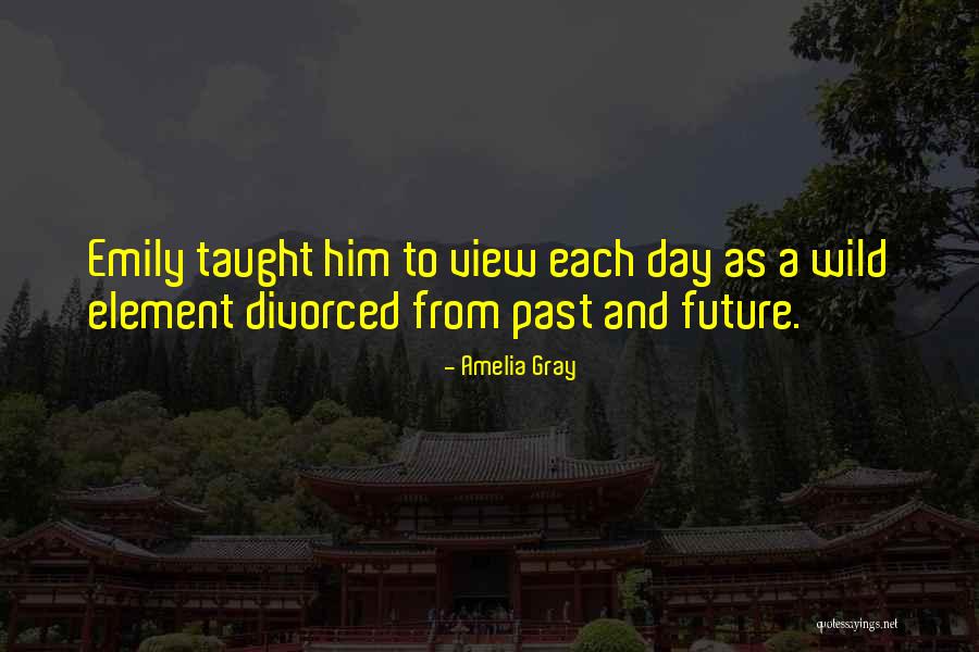 Amelia Gray Quotes 2187289 Amelia Gray Quotes 2187289