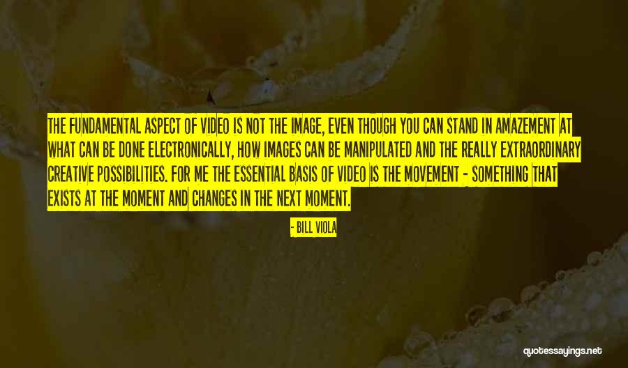 Amelie Gnome Quotes By Bill Viola Amelie Gnome Quotes By Bill Viola