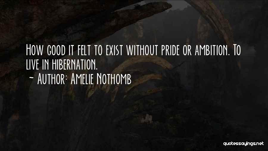 Amelie Nothomb Quotes 1028655